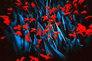 Steam最新一周销量榜 《怪物猎人：荒野》预购上榜